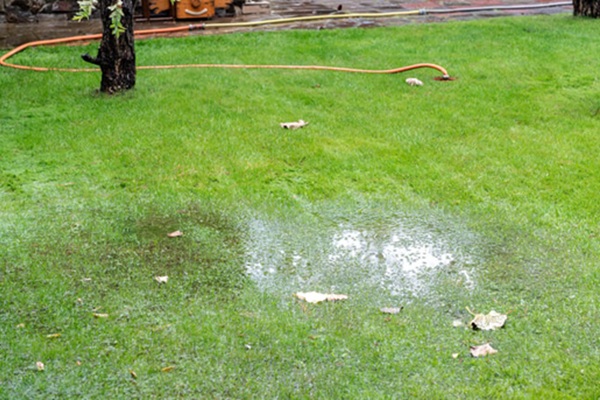 Verdichte bodem in gazon met plassen na regen